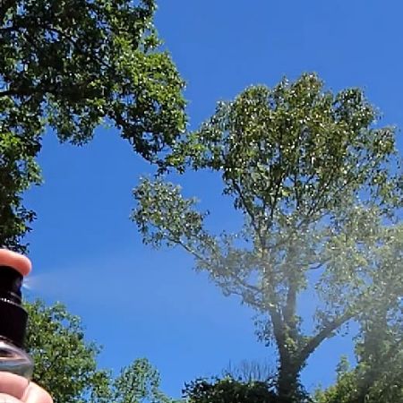 Picture for category Air Fresheners